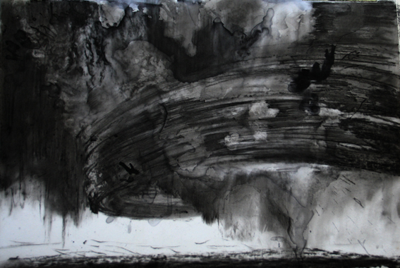 Paul Jones Brixton Hill SW2 Super Cell Series Ink, compressed charcoal on drafting film